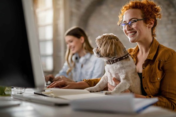 How Can You Design a Pet-Friendly Home Office?