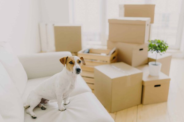 How Can You Create a Cozy and Inviting Conservatory for All Seasons?